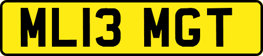 ML13MGT