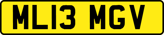 ML13MGV