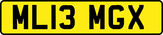 ML13MGX
