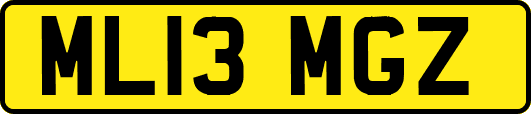 ML13MGZ