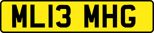 ML13MHG