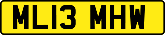 ML13MHW
