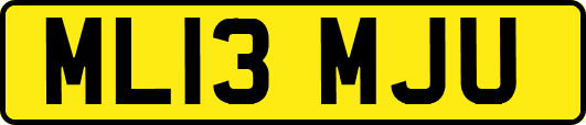 ML13MJU