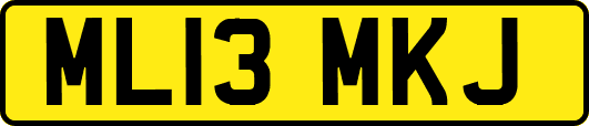 ML13MKJ