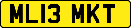 ML13MKT