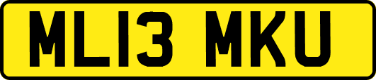 ML13MKU