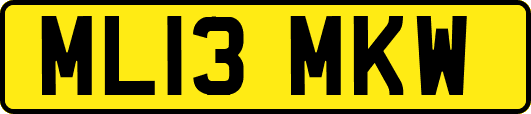 ML13MKW