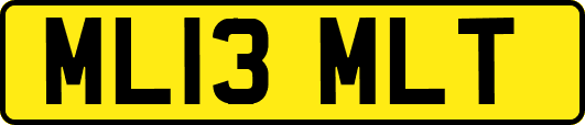 ML13MLT