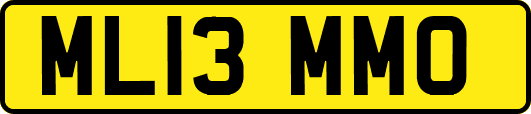 ML13MMO