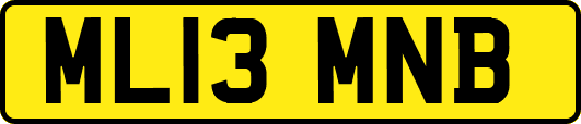 ML13MNB