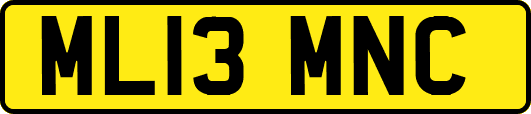 ML13MNC