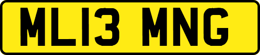 ML13MNG