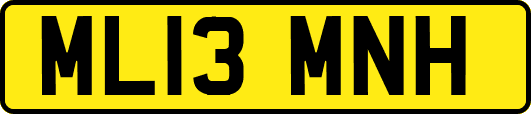 ML13MNH