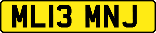 ML13MNJ