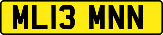 ML13MNN