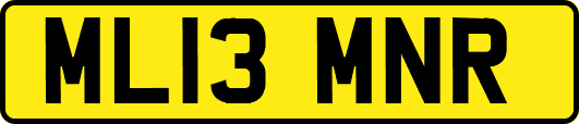 ML13MNR