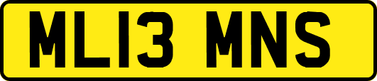 ML13MNS