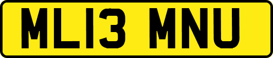 ML13MNU