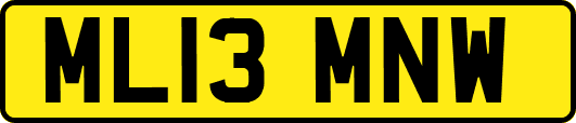 ML13MNW