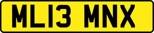 ML13MNX