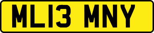 ML13MNY