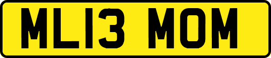ML13MOM