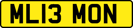 ML13MON