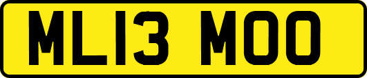 ML13MOO
