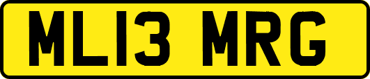 ML13MRG