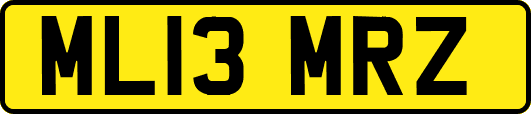 ML13MRZ