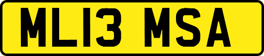 ML13MSA