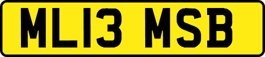 ML13MSB