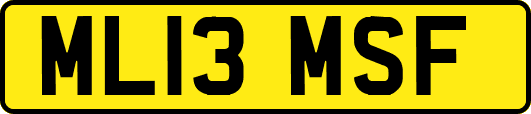 ML13MSF