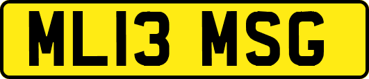 ML13MSG