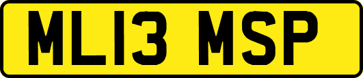 ML13MSP