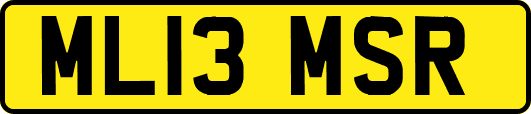 ML13MSR