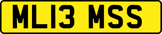 ML13MSS