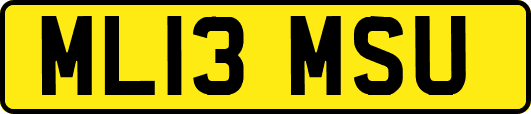 ML13MSU
