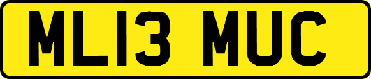 ML13MUC