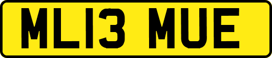 ML13MUE