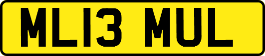ML13MUL