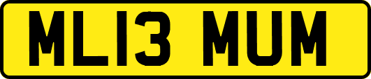 ML13MUM