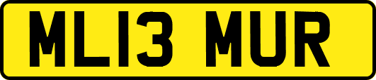 ML13MUR