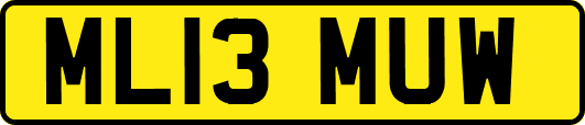 ML13MUW