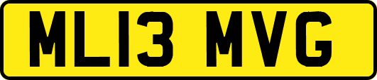 ML13MVG