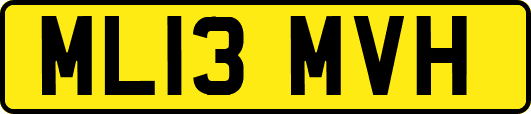 ML13MVH
