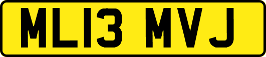 ML13MVJ