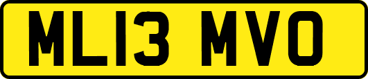 ML13MVO