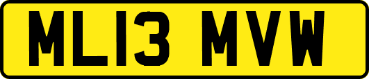 ML13MVW