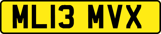 ML13MVX